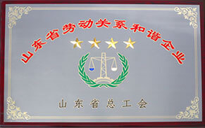 山東省勞動(dòng)關(guān)系和諧企業(yè)